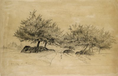 Chailly, c1859 by Camille Pissarro