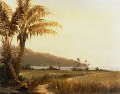 Deniz kenarında hindistan cevizi palmiyeleri, Saint Thomas, Antiller ... (tuval üzerine resim) by Camille Pissarro