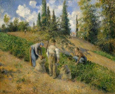 Ernte, Pontoise