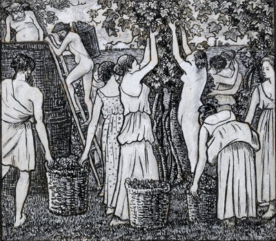 Üzüm hasadı, 