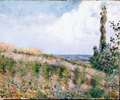 Manzara (tuval üzerine yağlı boya) by Camille Jacob Pissarro