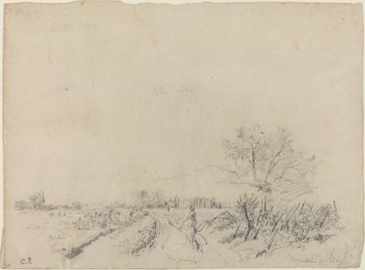 Montmorency Yolu, c. 18501860. by Camille Pissarro