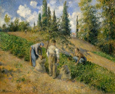 Hasat, Pontoise Hasat, Pontoise, 1881. by Camille Jacob Pissarro