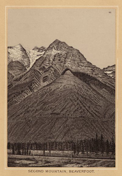  by Canadian School