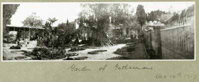 Gethsemane Bahçesi, 14 Aralık 1917 by Capt. Arthur Rhodes