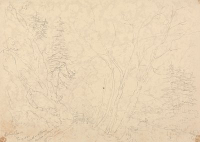 Holne Chase, 30 Mayıs 1833 by Capt. Thomas Hastings