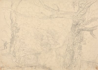 Holne Chase, 30 Mayıs 1833 by Capt. Thomas Hastings