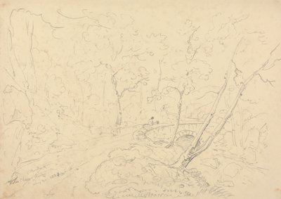 Holne Chase Köprüsü ve Nehri, 30 Mayıs 1833 by Capt. Thomas Hastings