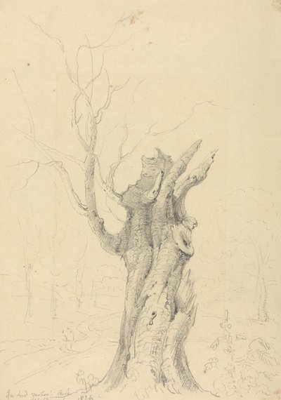 Lord Yarborough's Park, Appuldurcombe, Wight Adası'nda by Capt. Thomas Hastings