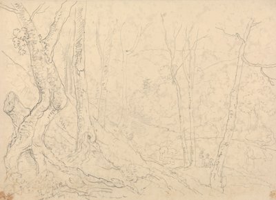 Hastings yakınlarındaki Balık Havuzlarında by Capt. Thomas Hastings