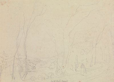 Bay Nash'in Alanı by Capt. Thomas Hastings