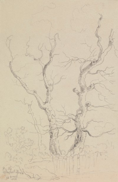 Newport Yolu üzerinde, Wight Adası by Capt. Thomas Hastings