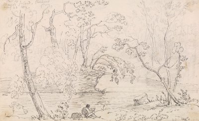Mayo Adası'nın bir parçası, Cheshunt, 23 Mayıs 1814 by Capt. Thomas Hastings