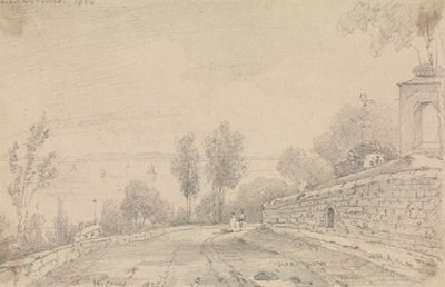 Batı İnekleri by Capt. Thomas Hastings