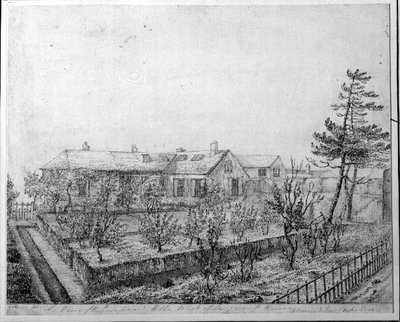 St. Helena Adası