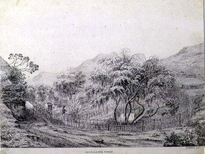 Napolyon