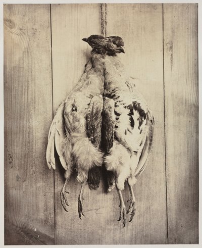 Keklik recto, c. 1861. by Captain N. Baily