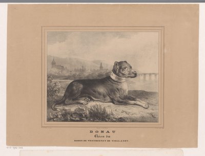 Köpek Tuna Tuna. Chien du Baron de Westreenen de Tiellandt (nesne üzerindeki başlık) by Carel Christiaan Antony Last