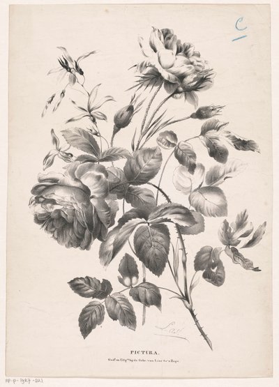 cıvıl cıvıl Pictura (nesne üzerinde seri başlığı) by Carel Christiaan Antony Last