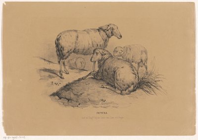 dört koyun Pictura (nesne üzerinde seri başlığı) by Carel Christiaan Antony Last
