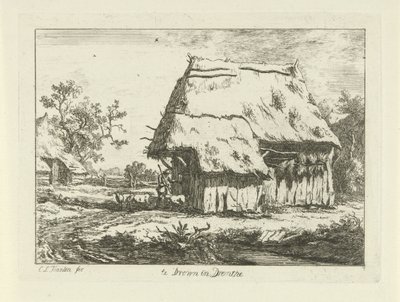 Bir ağılda çoban Drenthe