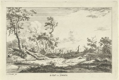 Bir manzarada avcı Drenthe