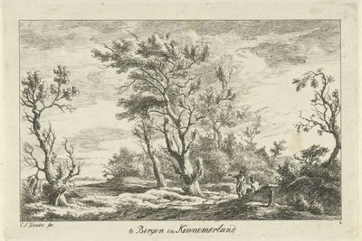 Manzaradaki Gezginler Kennemerland