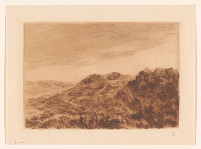 Lahey yakınlarındaki kumul manzarası by Carel Nicolaas Storm van 