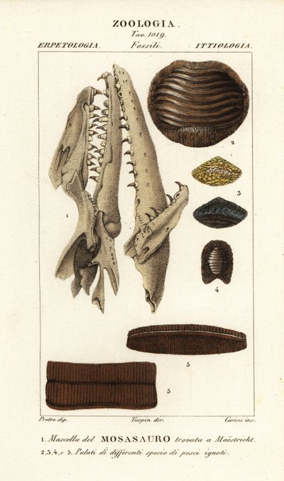 Maastricht 1