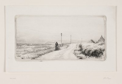Yürüyen bayan ile köy yolu. güneşli öğleden sonra by Carl Bloch