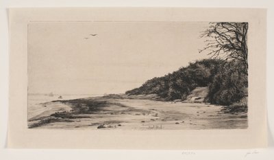 Deniz kenarındaki eğim by Carl Bloch
