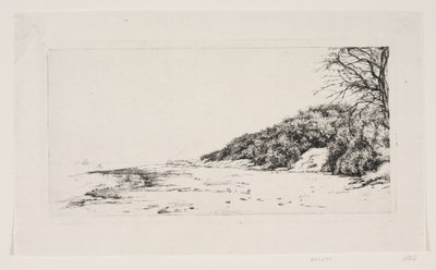 Deniz kenarındaki uçurum by Carl Bloch
