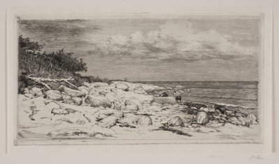 kayalık kıyı şeridi by Carl Bloch