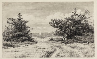 Deniz manzaraları by Carl Bloch