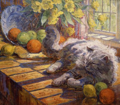  by Carl Budtz Moller