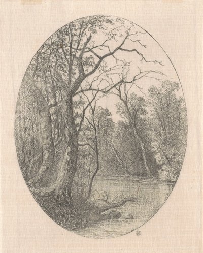 Laurel Creek
