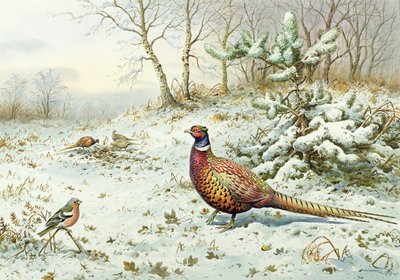 Horoz Sülün ve İspinoz by Carl Donner