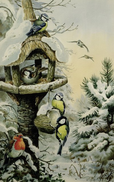 Mavi Göğüsler, Büyük Göğüsler, Ev Serçeleri ve Robin ile Kış Kuş Masası by Carl Donner