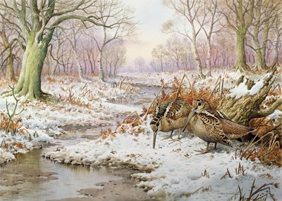 Çulluk by Carl Donner