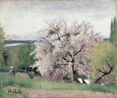 Çiçek Meyve Ağacı, Bois-le-Roi by Carl Fredrik Hill