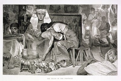 İlk Doğanın Ölümü, 19. yüzyıl (kağıt üzerine gravür) by Carl Friedrich Heinrich Werner