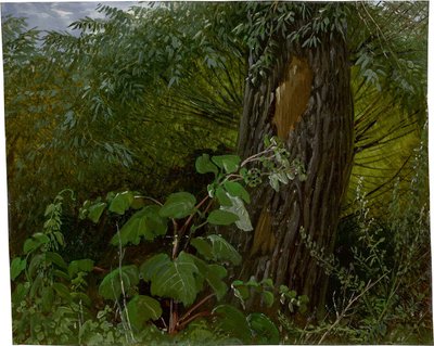  by Carl Gustav Carus