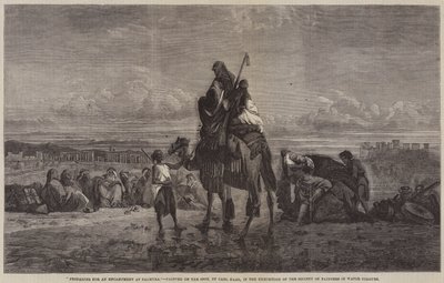 Palmyra