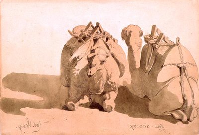 Develerin incelenmesi by Carl Haag