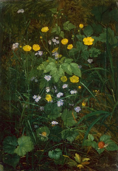 Orman zemininde düğünçiçekleri ve beni unutma by Carl Henrik Koch Moller