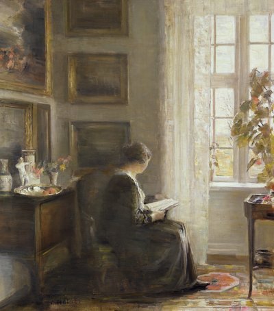 Güneşli Pencereden Okumak by Carl Holsoe