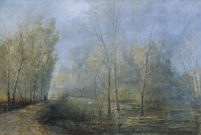 Donau-Auen by Carl Kaiser Herbst