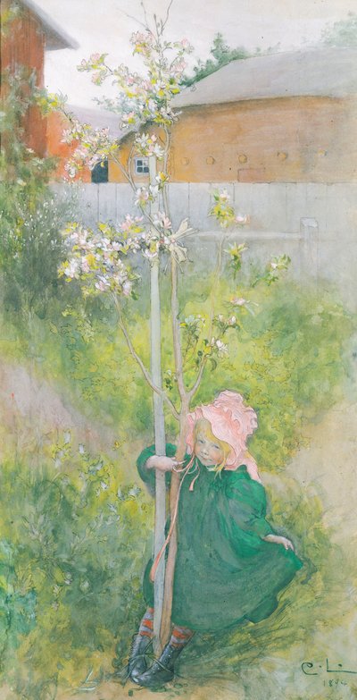 Elma çiçeği, 1894 by Carl Larsson