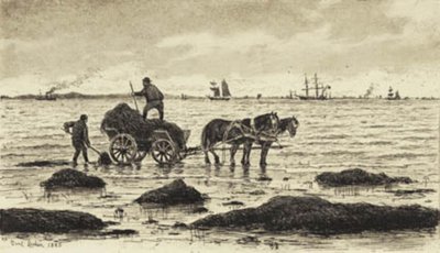 Çiftçiler deniz yosunu kullanıyor by Carl Locher