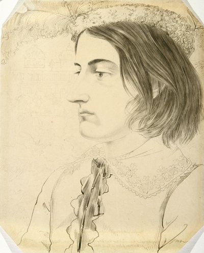 Ludwig Simon, İlahiyat Öğrencisi, 1816 (dokuma kağıt üzerine kalem, fırça ve siyah mürekkep) by Carl Philipp Fohr